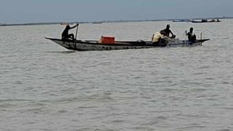 নিষেধাজ্ঞা অমান্য করে চরভদ্রাসন পদ্মা  নদীতে চলছে ইলিশ শিকার