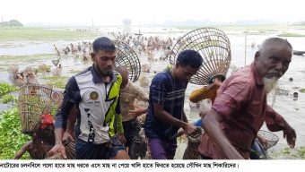 চলনবিলে এসে খালি হাতে ফিরলেন ৫ শতাধিক সৌখিন মাছ শিকারী