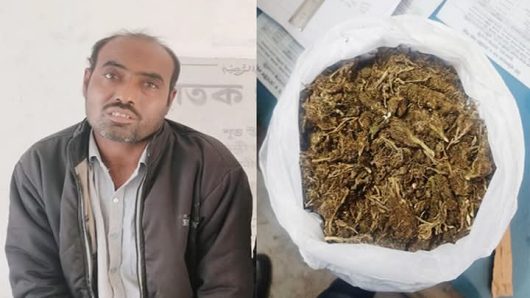 ছাতকে যৌথ অভিযানে গাঁজাসহ মাদক ব্যবসায়ী গ্রেফতার