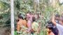 বরিশালে বাগানে পেট্রলবোমা বিস্ফোরণ