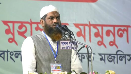 যারা ইসলামকে সহ্য করতে পারে না, তারাই স্বাধীনতার বিপক্ষের শক্তি: মাওলানা মামুনুল হক