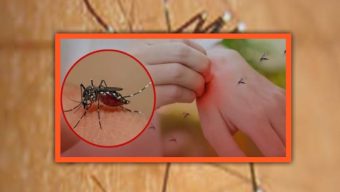 মশার উপদ্রবে অতিষ্ঠ বাঁশখালী পৌরবাসী, দ্রুত কার্যকরী পদক্ষেপের আশায় জনগণ