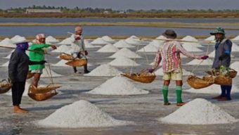 বাঁশখালীর লবণ চাষিরা ন্যায্যমূল্য না পাওয়ায় হতাশ!