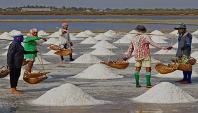বাঁশখালীর লবণ চাষিরা ন্যায্যমূল্য না পাওয়ায় হতাশ!