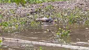 রাজবাড়ী সদরে পুকুর থেকে অজ্ঞাতপরিচয় এক পুরুষ ব্যক্তির মরদেহ উদ্ধার করেছে পুলিশ