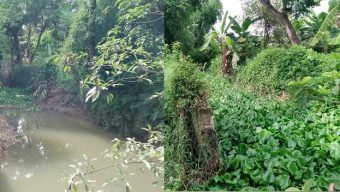 রংগিয়া ঘোনায় বর্ষার ঢলের শঙ্কা, খাল খনন জরুরী ঝুঁকিতে কৃষকের ফসল ও হাজার ঘরবাড়ী