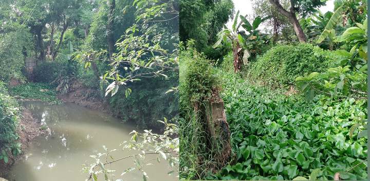 রংগিয়া ঘোনায় বর্ষার ঢলের শঙ্কা, খাল খনন জরুরী ঝুঁকিতে কৃষকের ফসল ও হাজার ঘরবাড়ী