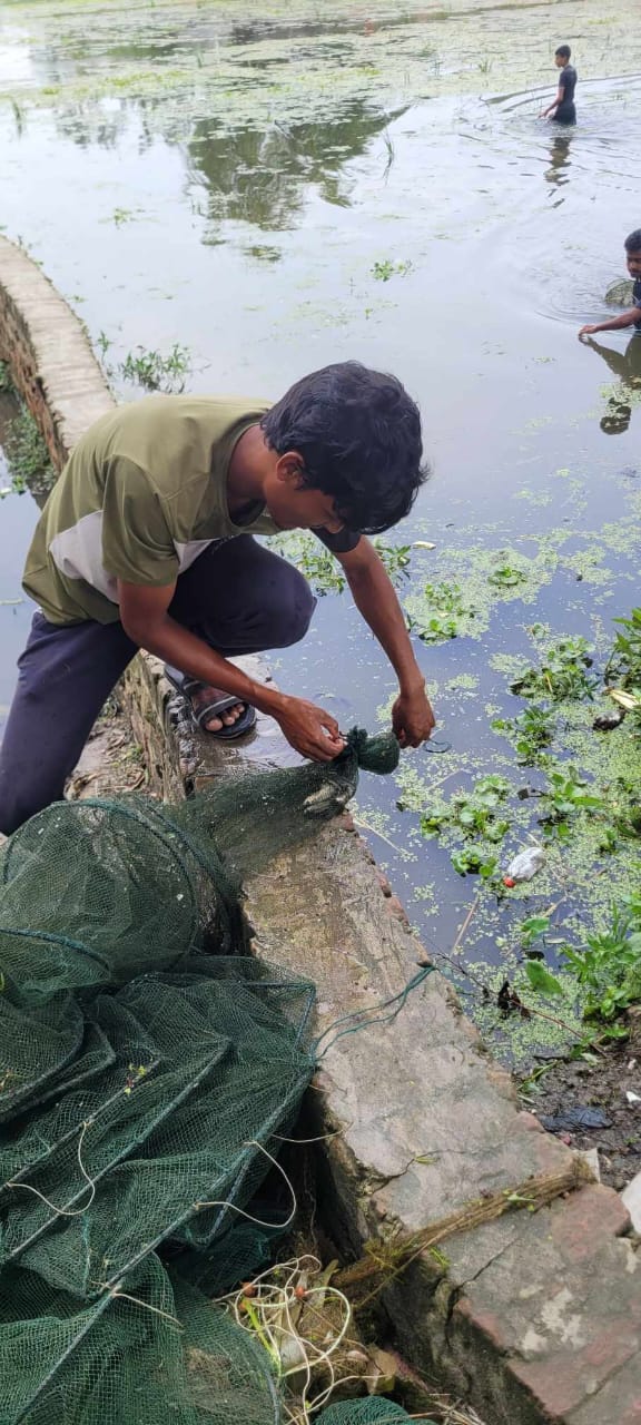 দুয়ারি কিং জালের প্রভাবে দেশিয় মাছ বিলুপ্তির দিকে জীবিকা নির্বাহকারী জেলারা হতাশ।