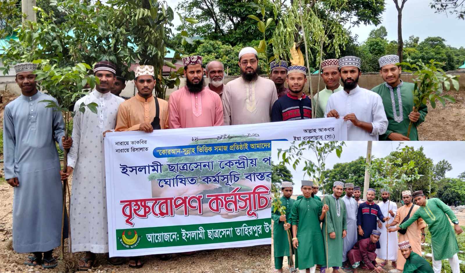 তাহিরপুরে ইসলামী ছাত্রসেনা পরিষদে’র বৃক্ষরোপণ।