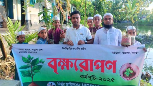 মনপুরায় নির্ভর ফাউন্ডেশনের বৃক্ষরোপণ কর্মসূচি পালন