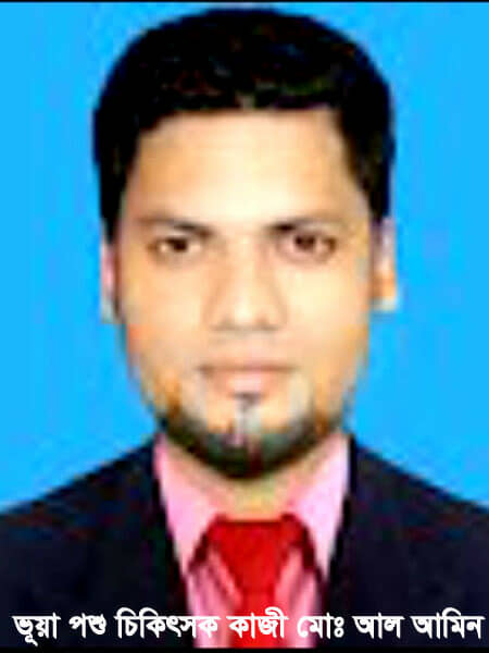 কালীগঞ্জে ভুল চিকিৎসায় গরুর মৃত্যু মোঃ মুক্তাদির হোসেন।