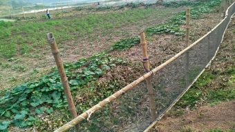 পূবাইলে ব্যবসায়ীর কাছে চাঁদা না পেয়ে এগ্রো প্রজেক্টে হামলা,কর্মচারীকে মারধর