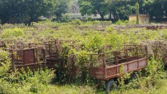 অবহেলা ও যত্নে জর্জরিত সেতাবগঞ্জ চিনিকল