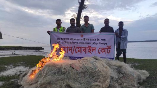 মনপুরার মেঘনায় মৎস্য দপ্তরের অভিযানে আটক কারেন্ট জাল