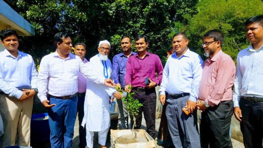 কৃষকদের মাঝে বিনামূল্যে বীজ ও সার বিতরণ