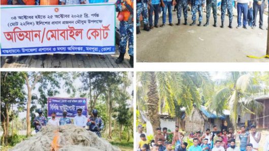 মনপুরার মেঘনায় ২২ দিনের অভিযানে মৎস্য দপ্তর ও উপজেলা প্রশাসনের ভূমিকা প্রশংসনীয়