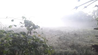 পরিবেশ প্রকৃতিতে শীতের ছোঁয়া