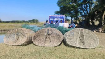 মনপুরার মেঘনায় অভিযানে পাঙ্গাশ মাছের পোনা শিকার করার চাই আটক