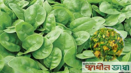 পালং শাক খেলে শরীরে কী ঘটে জানেন?