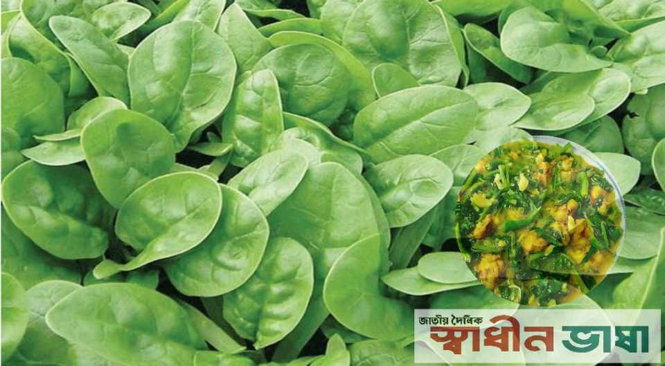 পালং শাক খেলে শরীরে কী ঘটে জানেন?