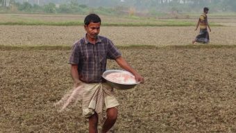 এক লাখ টন সার-ফসফরিক অ্যাসিড কিনবে সরকার, ব্যয় কত?