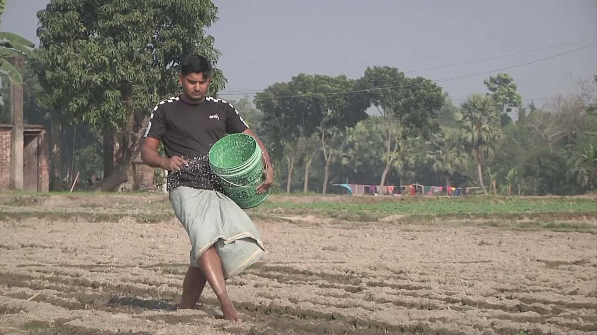সৌদি থেকে আসবে ৮০ হাজার টন সার, বাফার গুদাম হবে নওগাঁ-বগুড়ায়