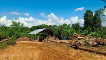লংগদুতে অবৈধ করাতকল: পাহাড়ি পরিবেশ ও জীববৈচিত্র্য মারাত্মক হুমকিতে