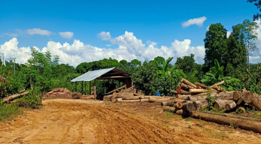 লংগদুতে অবৈধ করাতকল: পাহাড়ি পরিবেশ ও জীববৈচিত্র্য মারাত্মক হুমকিতে