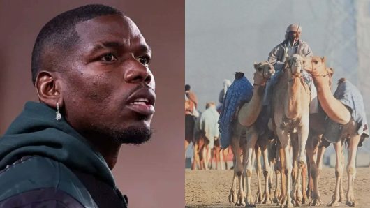 উট দৌড়ের দলে বিনিয়োগ করলেন পগবা