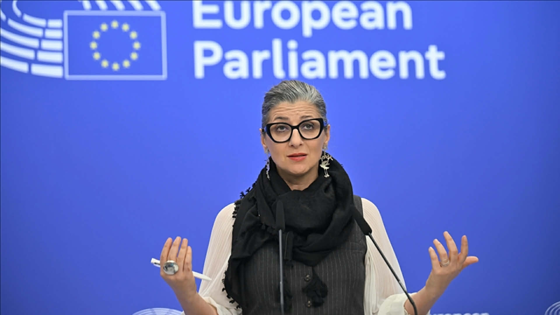 ফ্রান্সেসকা আলবানিজ গাজা পুনর্গঠনে ইসরাইল ও তার মিত্রদের খরচ দেয়া উচিত