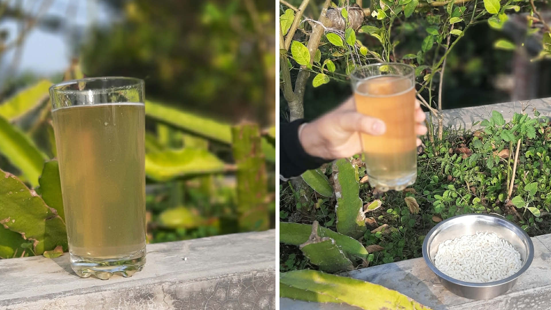 সুস্বাদু খেজুরের রস কখন মৃত্যুর কারণ?