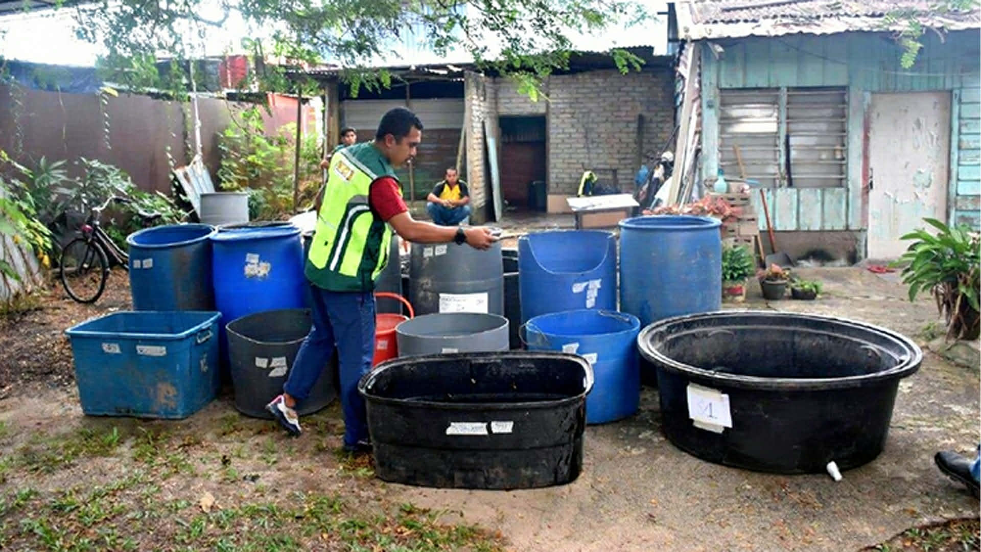 মালয়েশিয়ায় বিপুল পরিমাণ কচ্ছপ উদ্ধার, বাংলাদেশি আটক