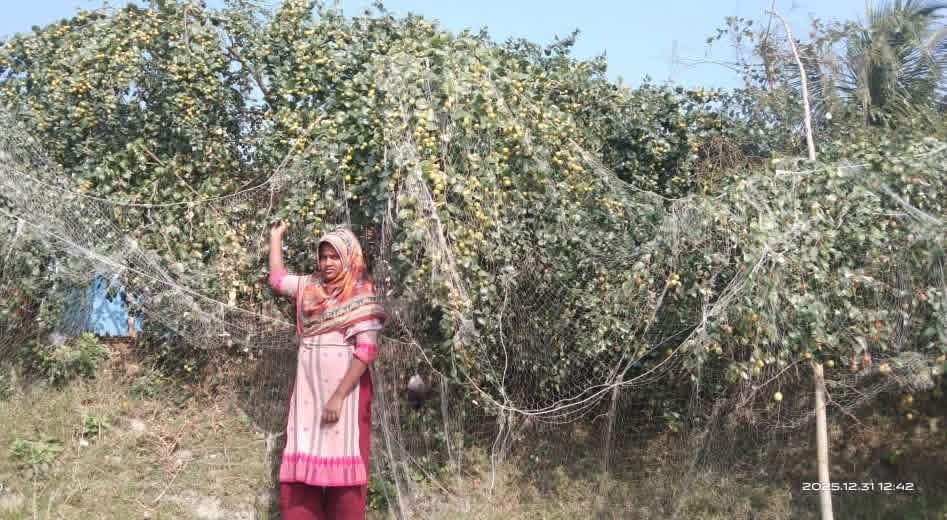 মনপুরার কলাতলিতে উদ্যোক্তা উন্নয়নে নিরলস ভাবে কাজ করছে কোস্ট ফাউন্ডেশন