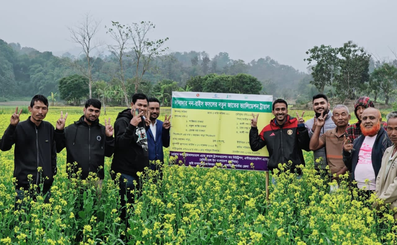 পাহাড়ে হলুদ হাসি, কৃষকের নতুন সম্ভাবনা