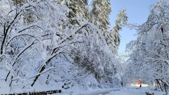 পাকিস্তানে তুষারপাত ভূমিধসের সতর্কতা জারি, পর্যটকদের ভ্রমণ এড়ানোর পরামর্শ