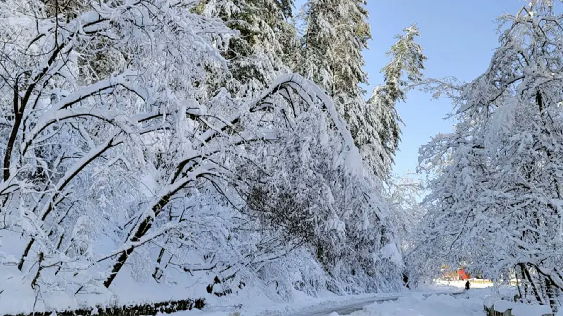 পাকিস্তানে তুষারপাত ভূমিধসের সতর্কতা জারি, পর্যটকদের ভ্রমণ এড়ানোর পরামর্শ