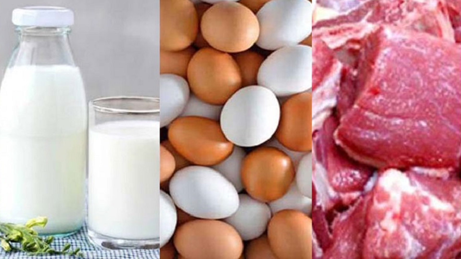 রোজায় যেসব স্থানে কম দামে মিলবে মাংস, দুধ ও ডিম