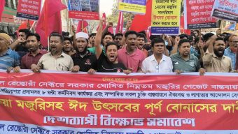 শ্রম পরিদর্শন না প্রহসন?