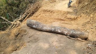 উন্নয়ন কাজে বাধা: লংগদু–নানিয়ারচর সড়কে গাছ ফেলে অবরোধ