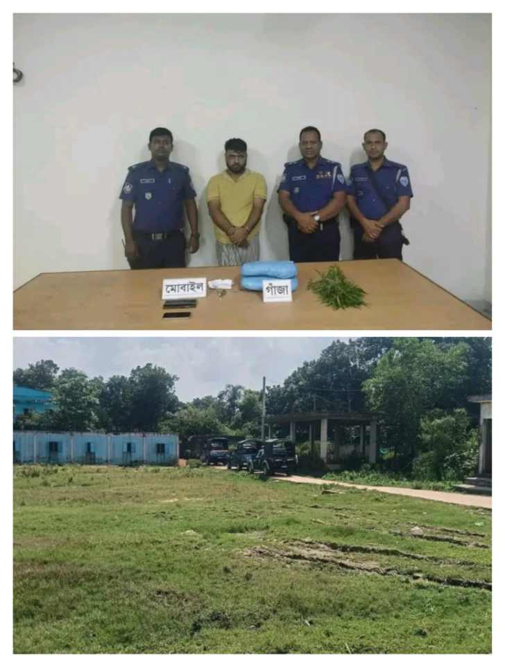 প্রভাবশালীদের ছত্রছায়ায় মাদক বাণিজ্য : আতঙ্কে এলাকাবাসী