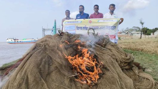 মনপুরার মেঘনায় মৎস্য অফিসের যৌথ অভিযানে আটটি বেহুন্দী জাল আটক!আগুনে পুড়িয়ে ধ্বংস