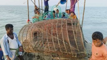 মনপুরার মেঘনায় মৎস্য অফিস কর্তৃক বিশেষ অভিযানে পাঙ্গাশ মাছের পোনা ধ্বংসকারী চাই আটক!আগুনে পুড়িয়ে ধ্বংস