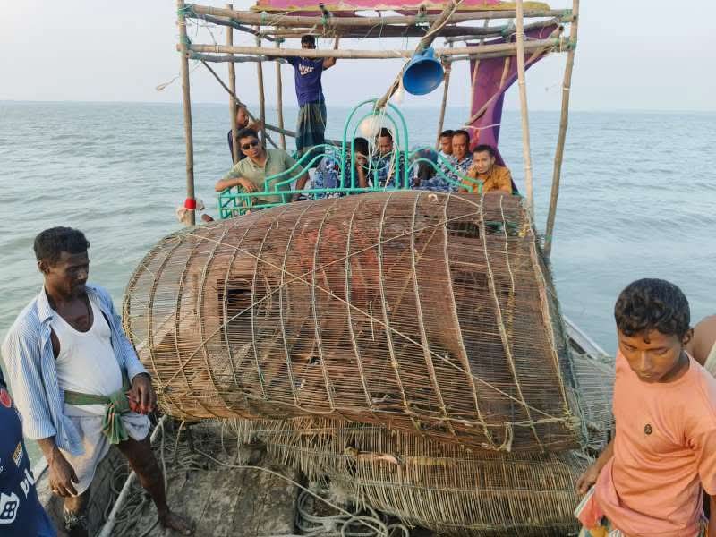 মনপুরার মেঘনায় মৎস্য অফিস কর্তৃক বিশেষ অভিযানে পাঙ্গাশ মাছের পোনা ধ্বংসকারী চাই আটক!আগুনে পুড়িয়ে ধ্বংস